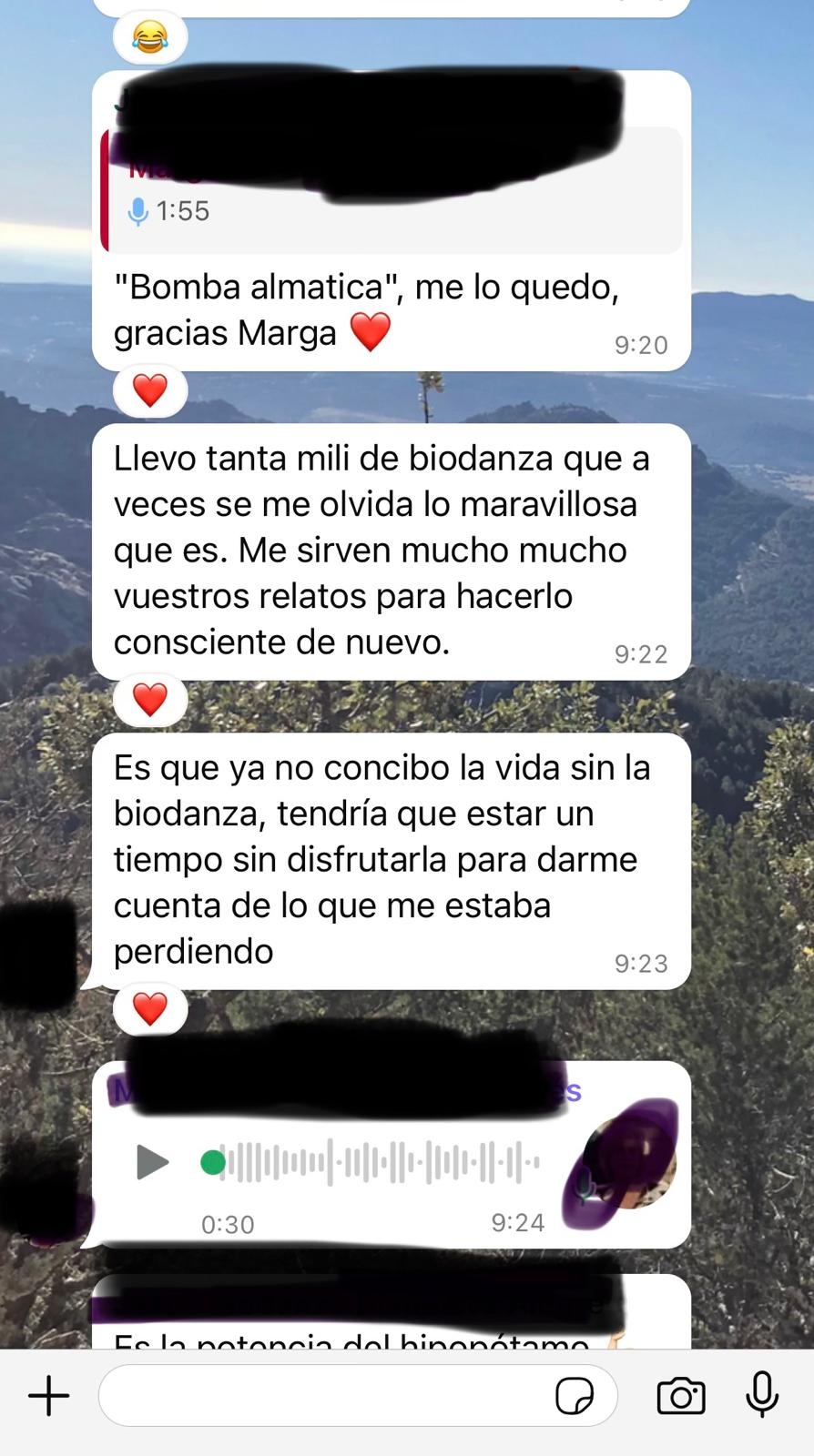 WhatsApp Image 2026-03-24 at 17.11.39 (1)